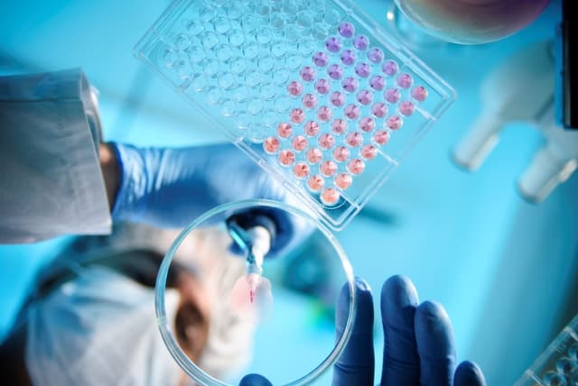 A scientist using a pipette with a microtiter plate and a petri dish